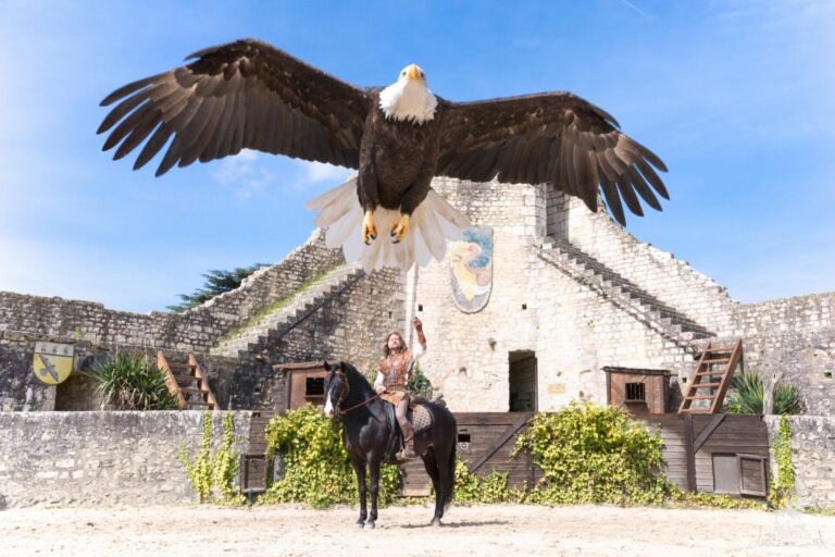 Les Aigles des Remparts_Provins