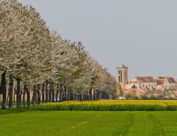 Collégiale Saint-Martin de Champeaux