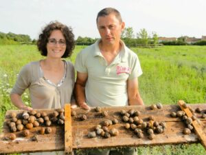 L’Escargot de France Janic