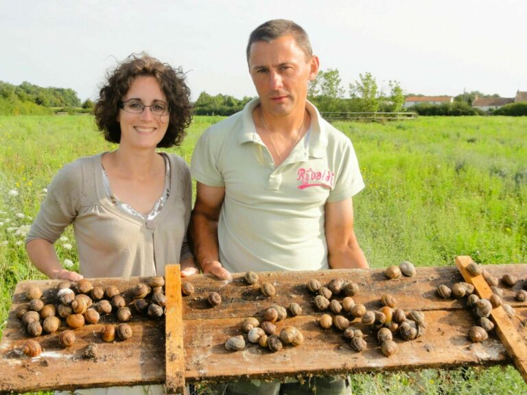 L'Escargot de France Janic_Pamfou_77