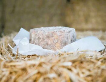 La Ferme de la Chalotterie_Ozouer-le-Voulgis