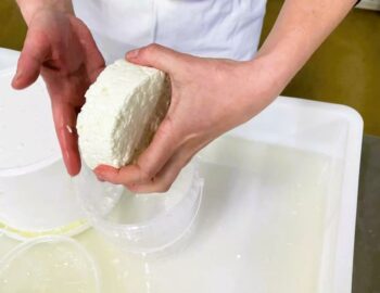 La Ferme de la Chalotterie_Ozouer-le-Voulgis