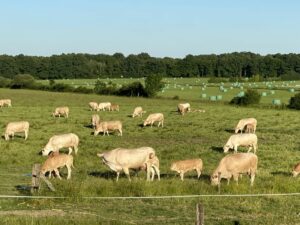 La Ferme de la Recette