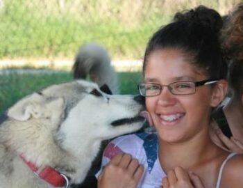 Chiens de traîneaux