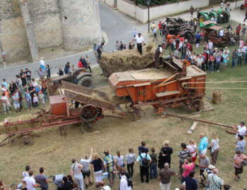 Fête de la Moisson de Provins