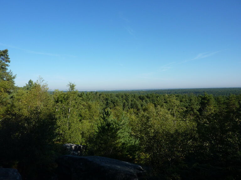 Vue depuis le rocher Cassepot en forêt de Fontainebleau
