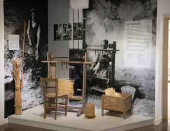 Maison du Brie de Meaux_Meaux