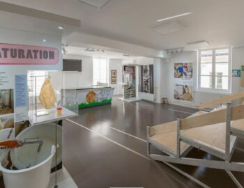 Maison du Brie de Meaux_Meaux