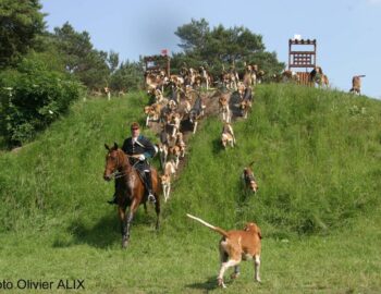 Chasse, Pêche, Nature &amp; Vénerie en fête_Fontainebleau