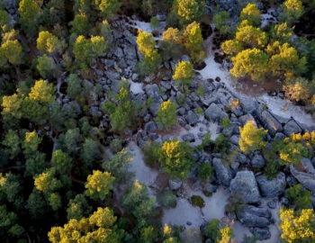 Chaos aux dernières lueurs