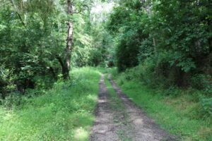 Balade à Saint-Méry