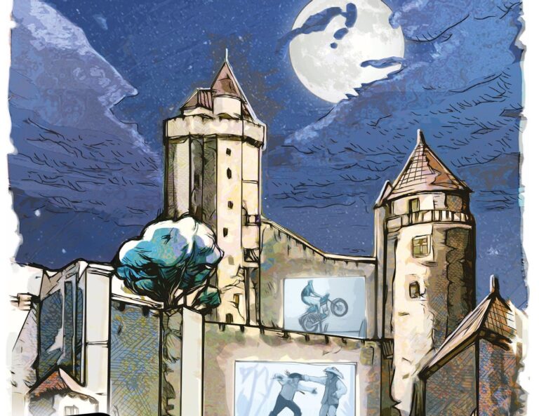 Les Créneaux de la nuit : Cinéma en plein air_Blandy