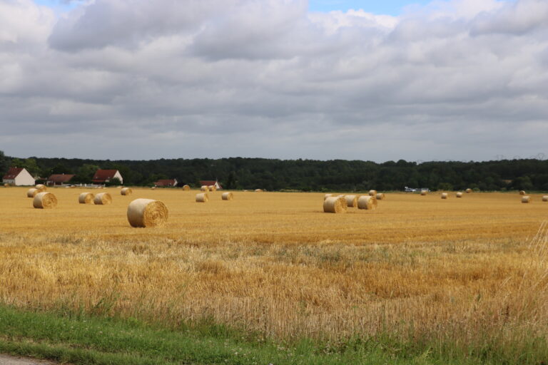 Chemin de randonnée à Machault