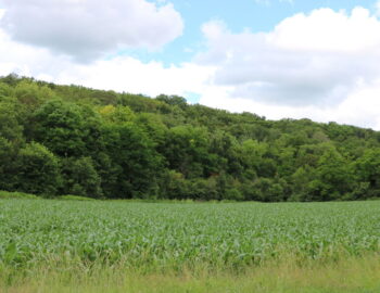 Route de Barbeau