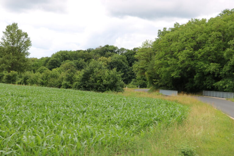 Route de Barbeau