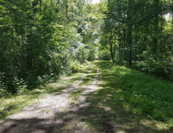 ENS Les Bordes Chalonges