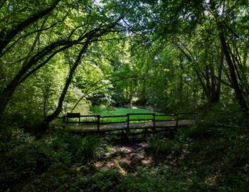 ENS les Bordes Chalonges