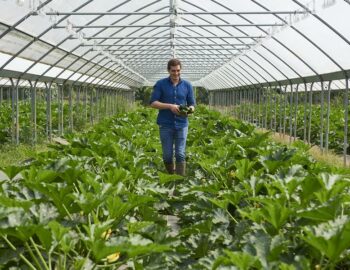 La Cueillette de La Grange_Coubert