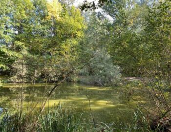 ENS Les Bordes Chalonges