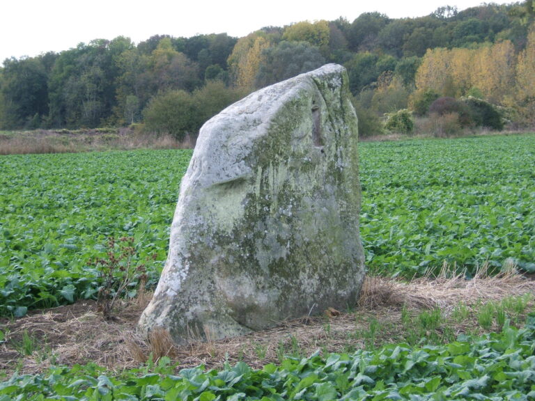 Pierre Couvée à Courtomer