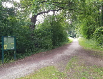 ENS Le Chemin des Roses