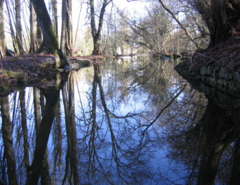 Domaine de la Salle à Féricy