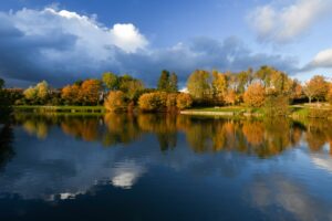 Parc Sainte-Reine – Aire de Jeux – Parcours santé