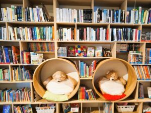 Bibliothèque de Yèbles