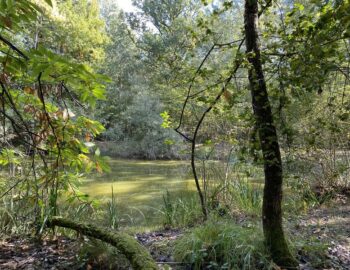 Sentier Pédagogique ENS Bordes Chalonges
