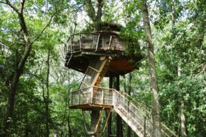 Domaine Saint-Martin