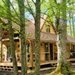 Les Tinarages - Saloon