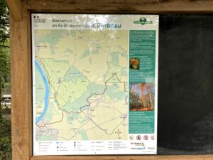 Balade en forêt de Barbeau – Parcours jaune