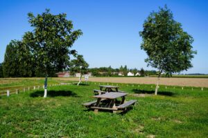 Aire de Pique-Nique des Trois Pommiers