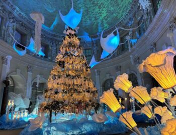Le Grand Noël au Château de Vaux-le-Vicomte_Maincy