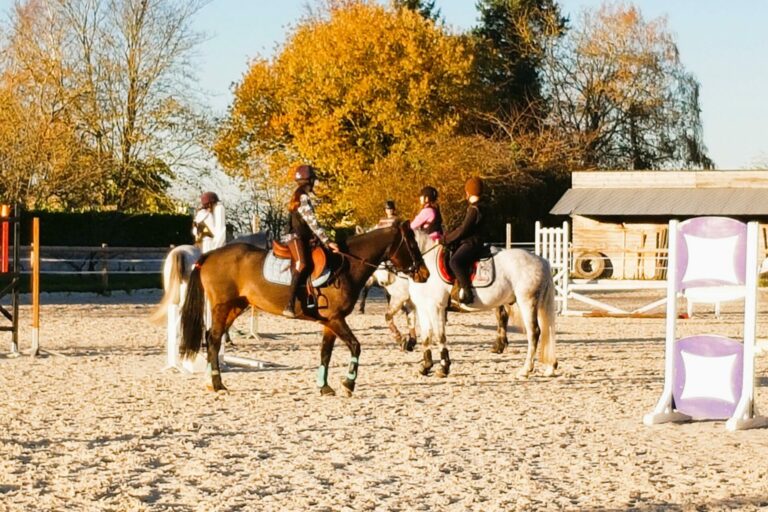 Les Écuries d'Arion_Grisy-Suisnes