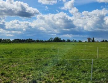 Les Écuries d'Arion_Grisy-Suisnes