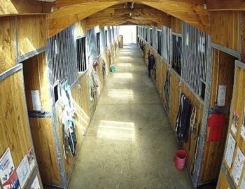 Les Écuries d'Arion_Grisy-Suisnes