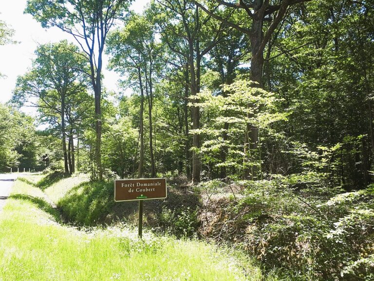Coubert - Brie des Rivières et Châteaux