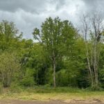 Chambres d’hôtes du chemin vert