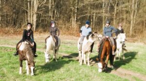 Association Les Baladins de La Brie