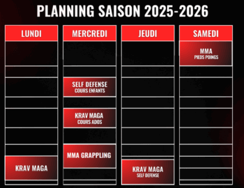 Association Self Défense Grisy Krav Maga - SDGKM_Grisy-Suisnes