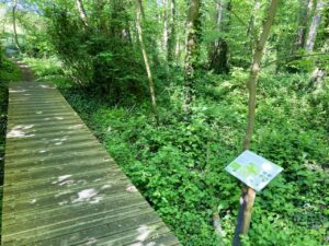 La Petite Mouillère