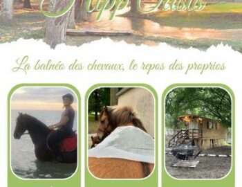 Hipp'Oasis_Saint-Méry