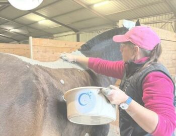 Hipp'Oasis_Saint-Méry