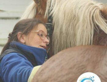 Hipp'Oasis_Saint-Méry