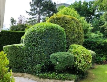 Martin Parcs et Jardins_Évry-Grégy-sur-Yerre