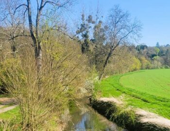 Association Chaumes Patrimoine Environnement_Chaumes-en-Brie