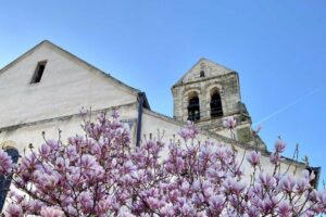 Association pour la Sauvegarde de l’Église Notre Dame de Soignolles-en-Brie – ASSENDS