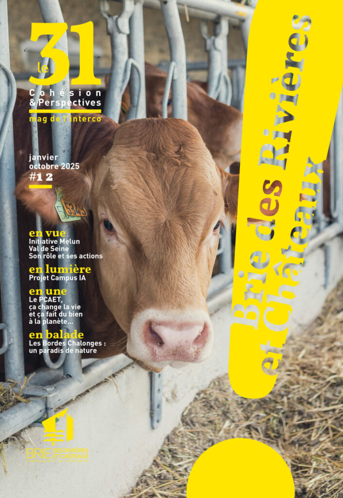 Mag Le 31 numéro 12 - couverture