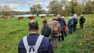 Association Comité des Fêtes de Fontaine-le-Port : une facette sportive
